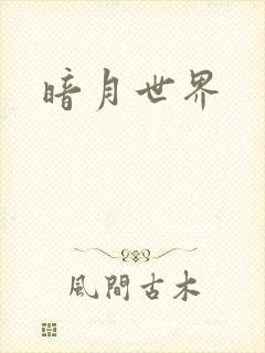 暗月世界