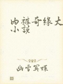 内裤奇缘大团结小说