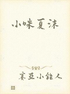 小咪夏沫封面