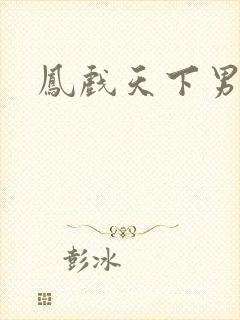 凤戏天下男封面