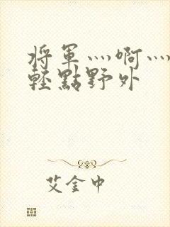 将军灬啊灬啊灬轻点野外封面