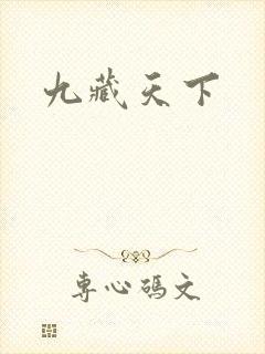 九藏天下