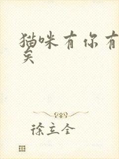 猫咪有你有我足矣