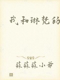 我和琳梵的故事