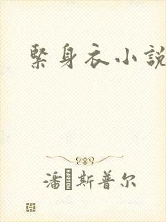 紧身衣小说