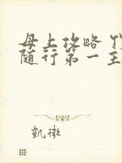 母上攻略 竹影随行第一主板