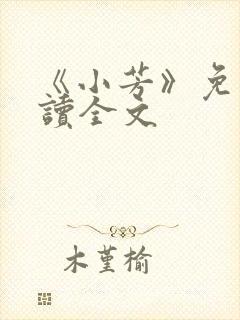 《小芳》免费阅读全文封面