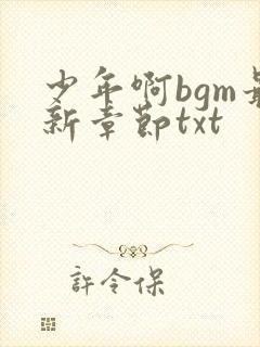 少年啊bgm最新章节txt