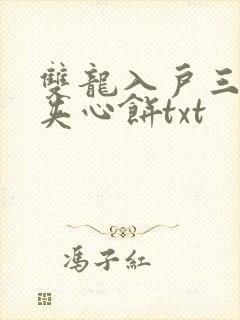 双龙入户三人行夹心饼txt