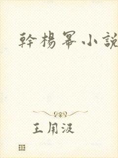 干杨幂小说封面