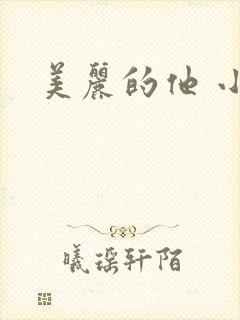 美丽的他 小说
