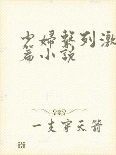 少妇系列激情短篇小说封面