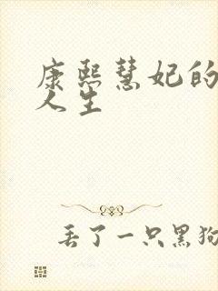 康熙慧妃的躺赢人生