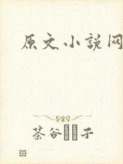 原文小说网封面