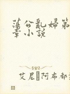 荡公乱妇第51章小说