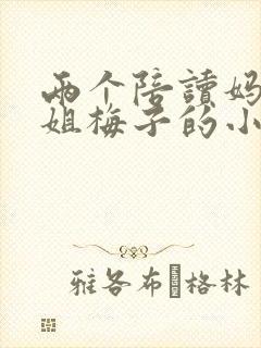 两个陪读妈妈赵姐梅子的小说