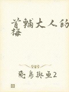 首辅大人的小青梅