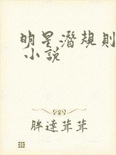 明星潜规则之皇 小说