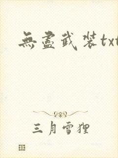 无尽武装txt