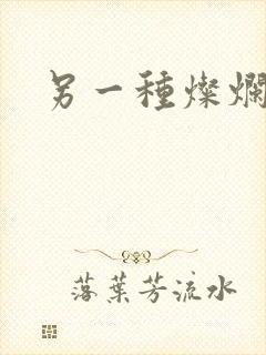 另一种灿烂生活