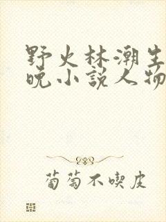 野火林潮生林晚晚小说人物野火封面