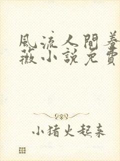 风流人间养父采薇小说免费笔趣阁封面