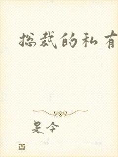 总裁的私有宝贝