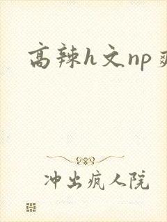 高辣h文np爽封面