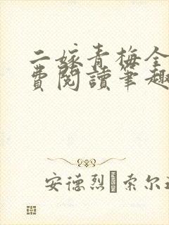 二嫁青梅全文免费阅读笔趣阁封面