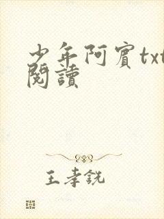 少年阿宾txt阅读