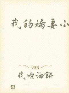 我的娇妻小说