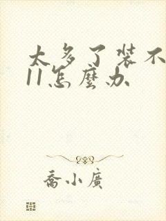 太多了装不下h11怎么办封面