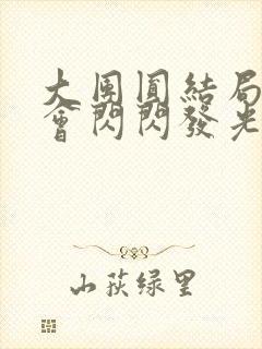 大团圆结局亲情会闪闪发光封面