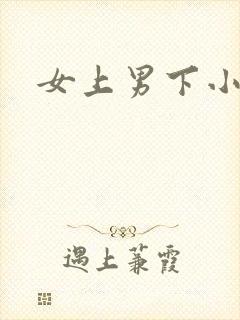 女上男下小说