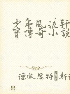 少年风流轩辕大宝传奇小说