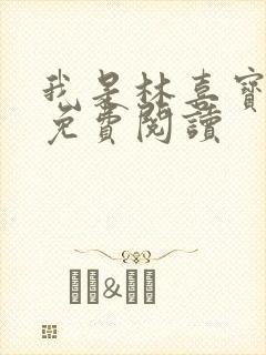 我是林喜宝小说免费阅读封面