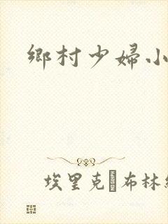 乡村少妇小说封面