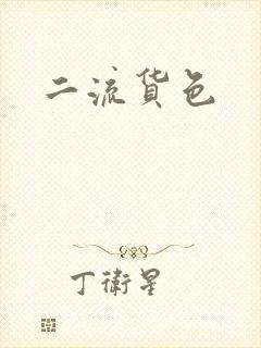 二流货色