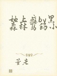 她上瘾by黑暗森林写的小说免费阅读无弹窗