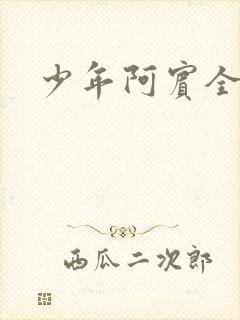 少年阿宾全集