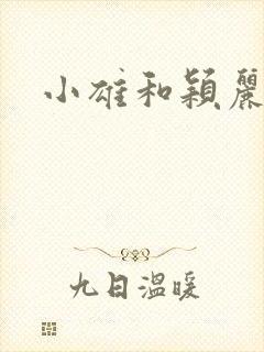 小雄和颖丽封面