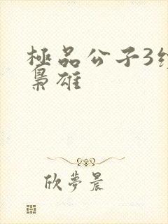 极品公子3续世枭雄