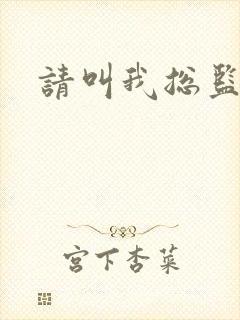 请叫我总监小说