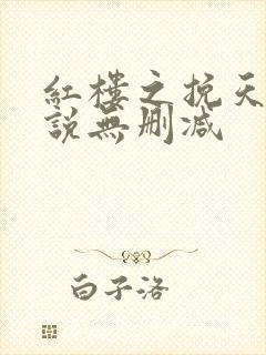 红楼之挽天倾小说无删减