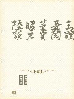 陆昭菱晋王的小说免费阅读封面