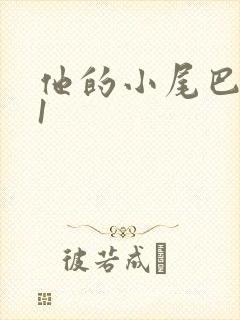 他的小尾巴1v1封面