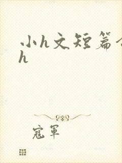 小h文短篇合集h封面