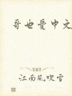 哥也爱中文封面