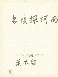 名侦探柯南h封面