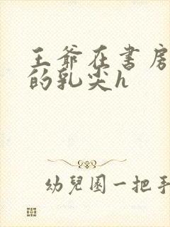 王爷在书房含她的乳尖h封面